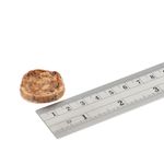 -2---CSB228R-Love-Squid-Bites-Ruler
