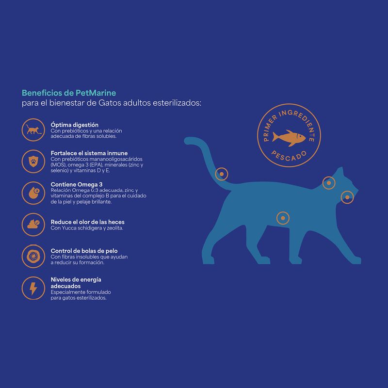 2.-Beneficios-PM-Seco-Gato-adulto.jpg
