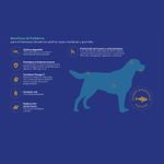 2. Beneficios PM Seco Perro adulto raza mediana y grande.jpg