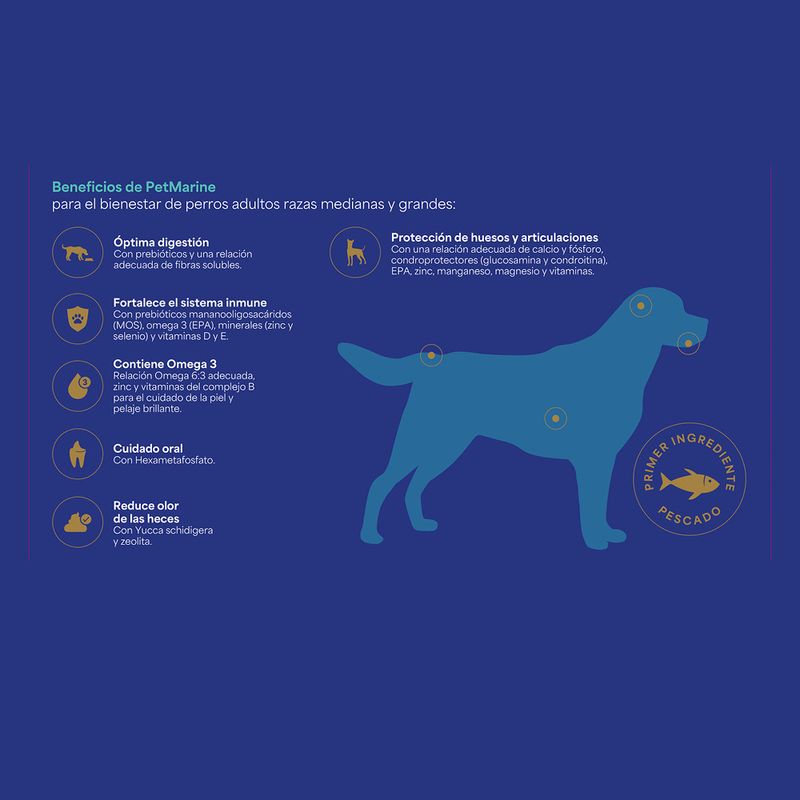 2. Beneficios PM Seco Perro adulto raza mediana y grande.jpg