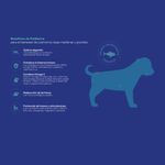 2. Beneficios PM Seco perro cachorro raza mediana y grande.jpg