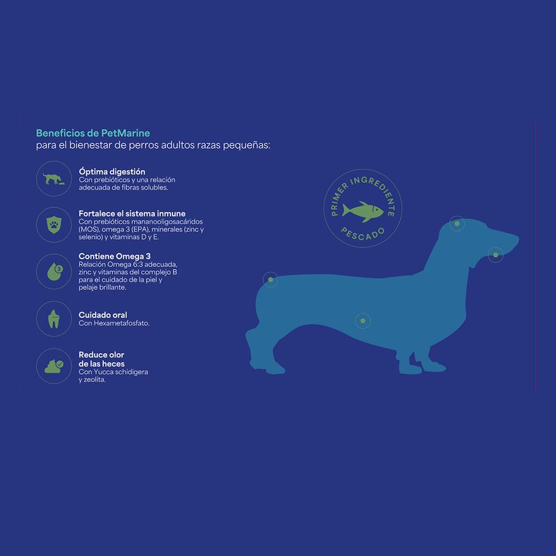 2. Beneficios PM Seco Perro adulto raza pequena.jpg