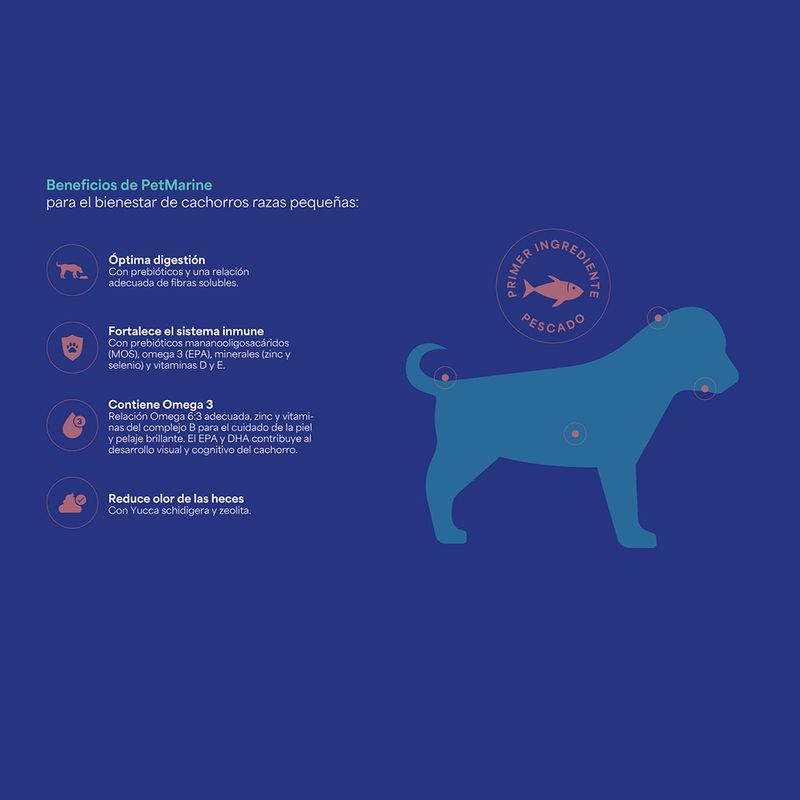 2. Beneficios PM Seco Perro cachorro raza pequena.jpg