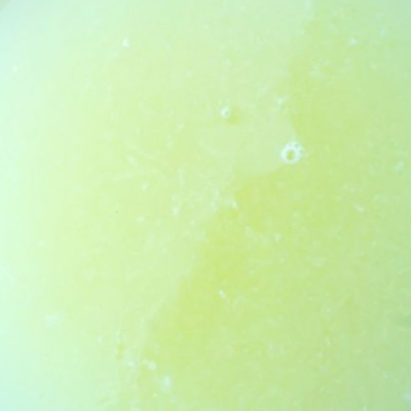 Diapositiva5